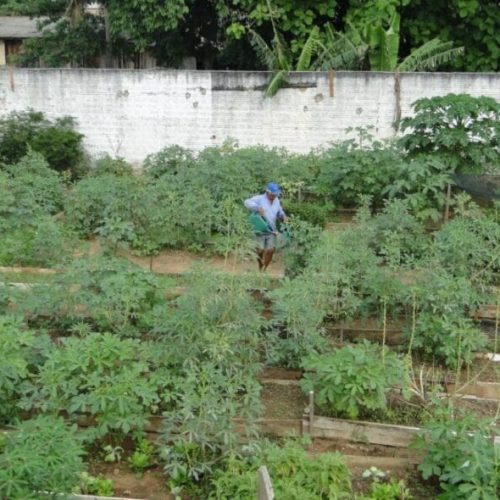 Governo de RO destaca a importância do agricultor no desenvolvimento econômico do estado e ressalta políticas públicas para o setor agropecuário