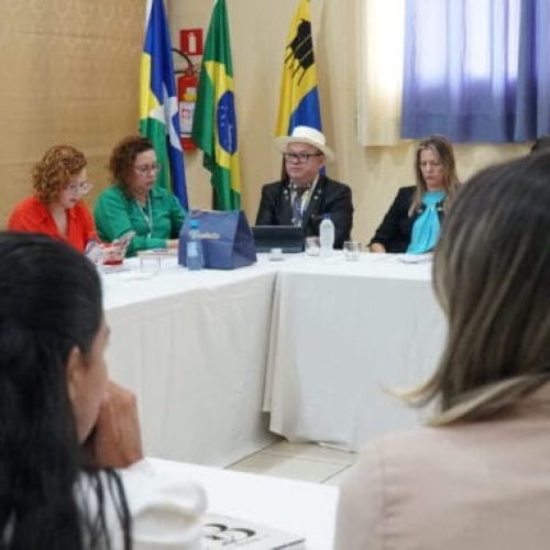 Primeira reunião da Câmara Técnica da Comissão Intergestores Bipartite de 2025 aborda cenário de vigilância em saúde