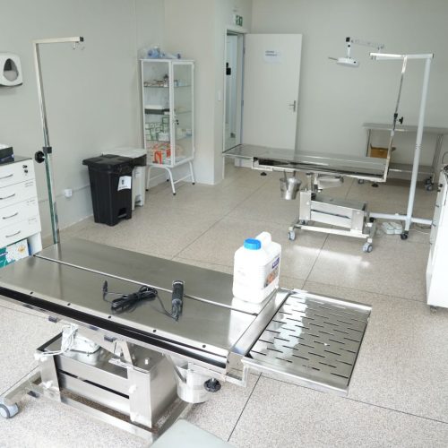 Inaugurada a primeira clínica de bem-estar animal pública de Rondônia