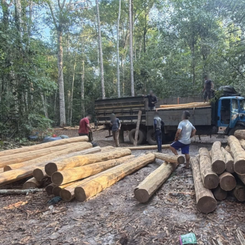 Polícia Ambiental apreende dois caminhões com madeira irregular em Vilhena