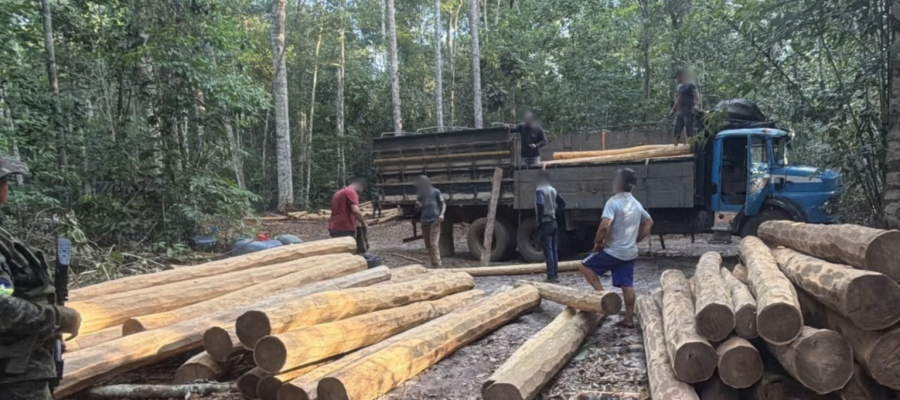 Polícia Ambiental apreende dois caminhões com madeira irregular em Vilhena