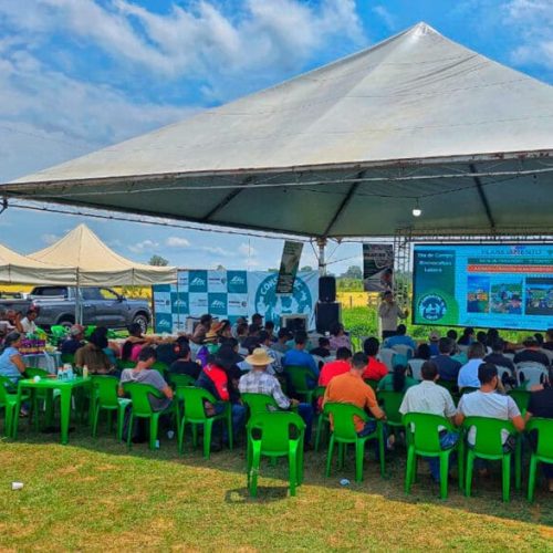 Ações técnicas do governo de RO e resultados sustentáveis impulsionam pecuária leiteira no estado