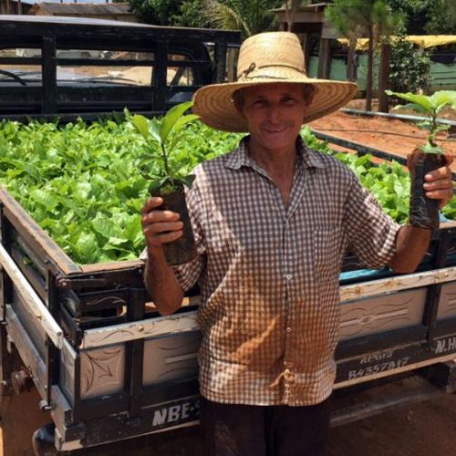 Incentivo do governo de Rondônia impulsiona produção de café e prospera vida no campo