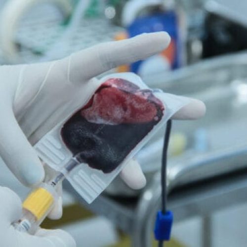 Com estoques de sangue em baixa em Porto Velho, Fhemeron reforça pedido de doações