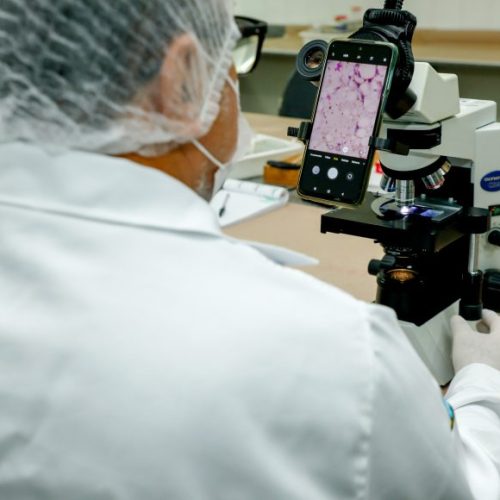Prevenção à Doença de Chagas é reforçada pela Vigilância em Saúde com ações de orientação à comunidade