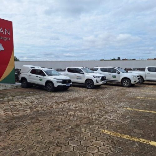 Cerca de R$ 35 milhões são investidos pelo governo de RO para modernizar trânsito e ampliar segurança viária