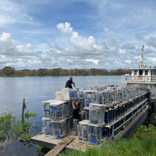 Educação indígena em Rondônia recebe materiais permanentes e pedagógicos
