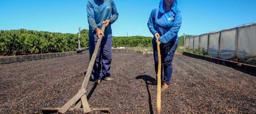 Governo de RO comemora o Dia Mundial da Agricultura e destaca a força do campo no desenvolvimento do estado
