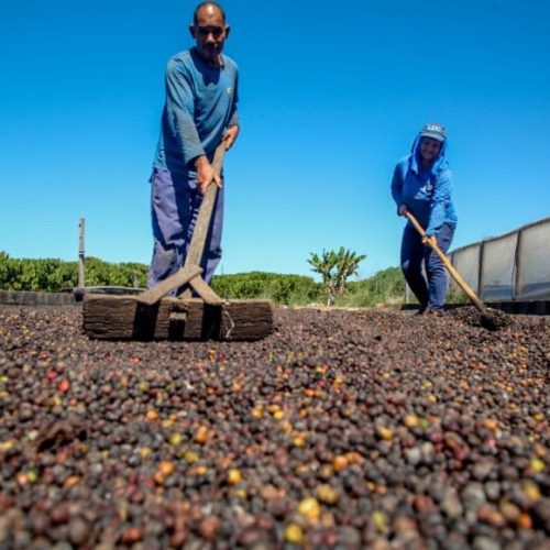 Inscrições para o 10º ConCafé são prorrogadas até o dia 29 de agosto