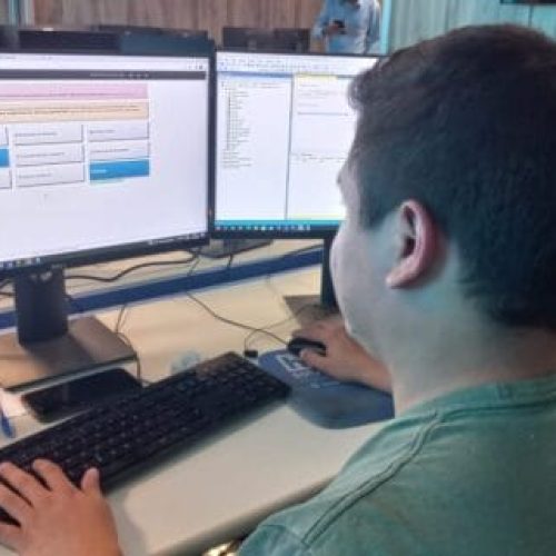 Cooperação entre órgãos estaduais permite emissão de documentos para abate de bovinos em uma única plataforma