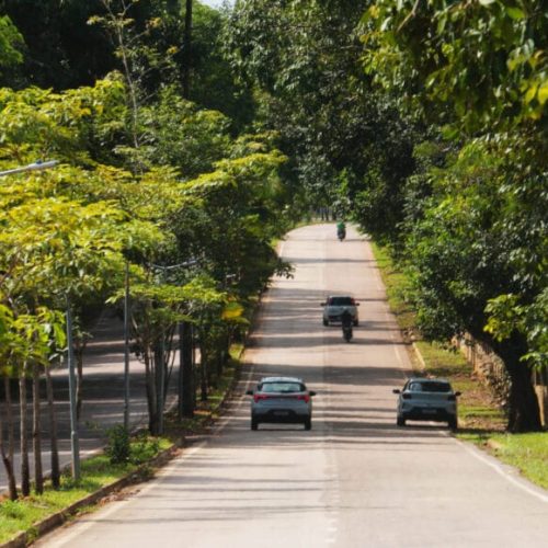 Licenciamento de veículos com placa final 7 vence dia 31 de julho, em Rondônia