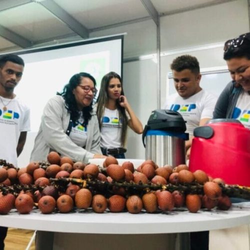 Rondônia ampliou oferta de cursos profissionalizantes voltados à bioeconomia e adquiriu mais duas escolas móveis