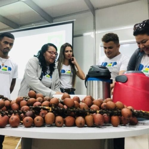 Empreendedorismo de curso técnico em agronegócio é caso de sucesso na  bioeconomia, em Rondônia