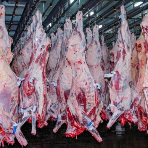 Rondônia registra aumento de cerca de 20% nas exportações de carne em 2024