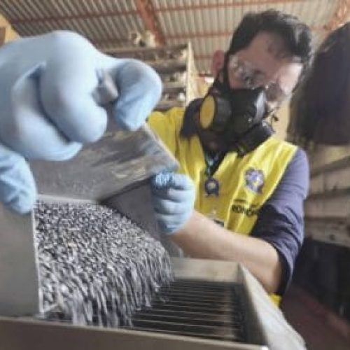 Fiscalização para combater fraudes na comercialização de sementes é intensificada pelo governo de RO