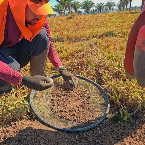 Pesquisas arqueológicas são realizadas para garantir preservação cultural durante pavimentação da RO-420