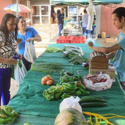 Governo de RO celebra 54 anos da Emater-RO com resultados que fortalecem agricultura familiar no estado