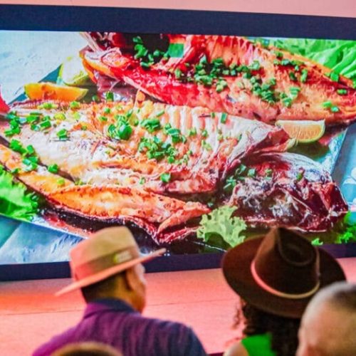 Destaque na segurança alimentar no mercado global, Rondônia registra recorde histórico de exportações