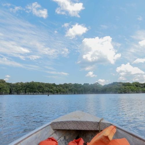 Rios de Rondônia estão subindo dentro da normalidade e abaixo da cota de alerta para enchente