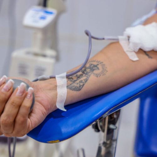Estudo sobre segurança transfusional é premiado em congresso nacional por alerta sobre subnotificação