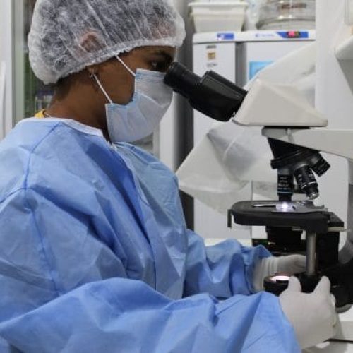 Governo de RO orienta população sobre prevenção da leishmaniose e onde buscar atendimento