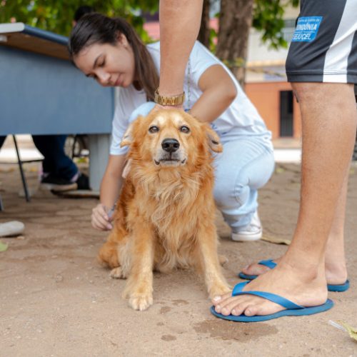 “Setembro Caramelo” terá Dia D de vacinação antirrábica em escolas da capital