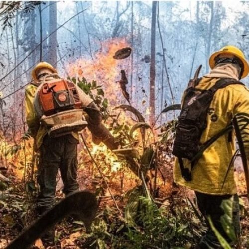 Cinquenta mil campos de futebol consumidos pelo fogo