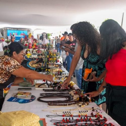 Pavilhão do Artesanato na Rondônia Rural Show 2025 valoriza cultura local e impulsiona empreendedores