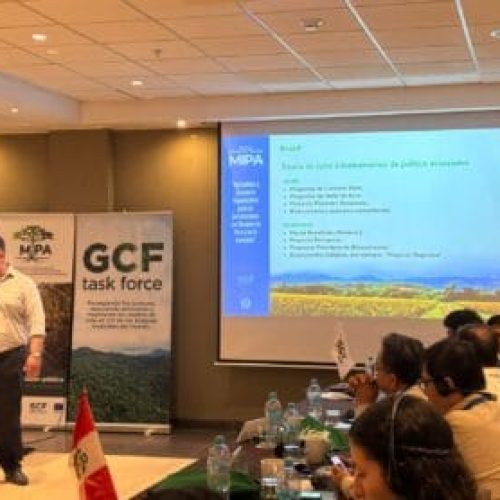 Governo de RO reforça compromisso com a Nova Economia Florestal em encontro internacional