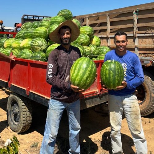 Dia do Agricultor celebra quem transforma a terra em alimento e fortalece o desenvolvimento de Porto Velho