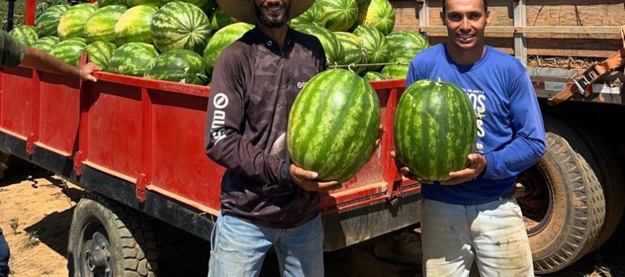Dia do Agricultor celebra quem transforma a terra em alimento e fortalece o desenvolvimento de Porto Velho