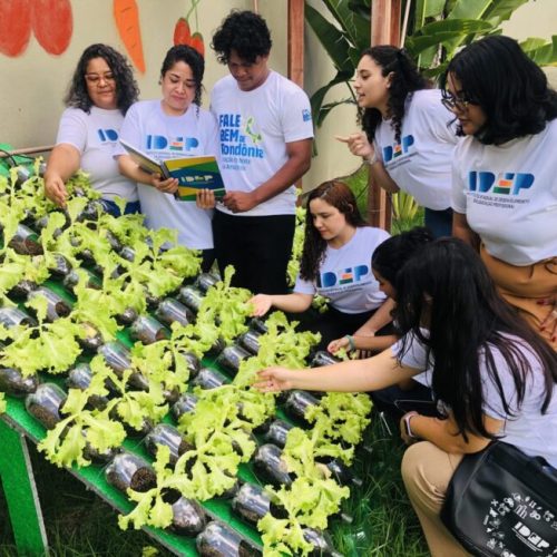 Educação profissional incentiva empreendedorismo sustentável em Rondônia