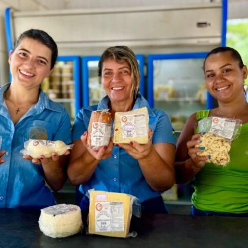 Mulheres do campo fortalecem o agronegócio no estado