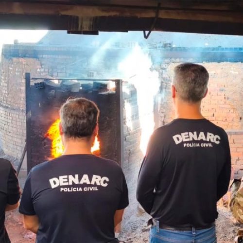 MPRO acompanha incineração de drogas na capital