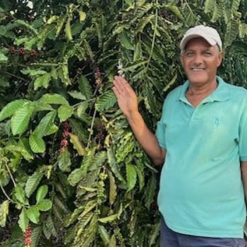 Da criação de gado para o cultivo e benefício do café: A trajetória do Baiano em União Bandeirantes