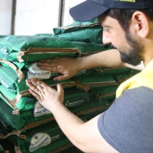 Governo de RO mantém alerta sobre risco de sementes adulteradas para formação de pasto