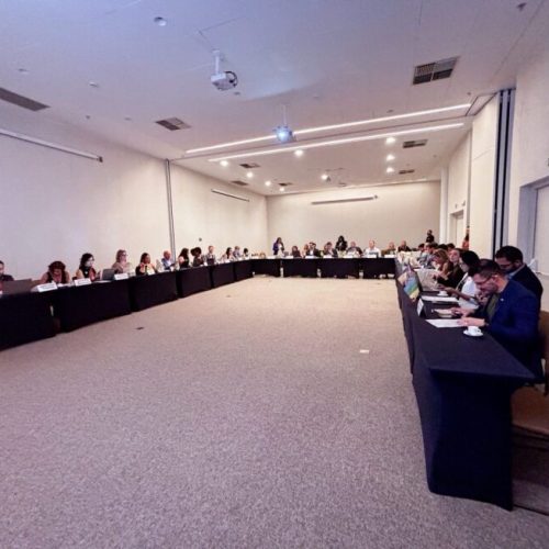 Rondônia discute impactos da Lei de Licenciamento Ambiental durante a 123ª Reunião Ordinária, em Teresina