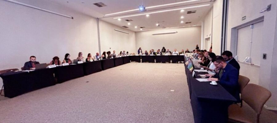 Rondônia discute impactos da Lei de Licenciamento Ambiental durante a 123ª Reunião Ordinária, em Teresina