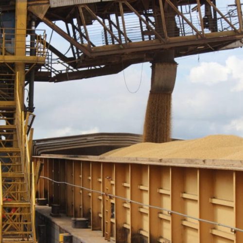 Rondônia alcança marco expressivo na geração de empregos e se destaca em desempenho na Região Norte