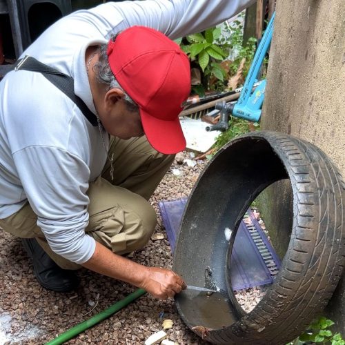 LIRAa é um método que permite identificar áreas com maior risco de infestação do mosquito