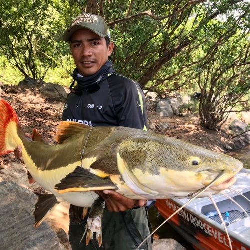 Vila Nova de Teotônio volta ao mapa turístico com o PVH Pesca Show 2025