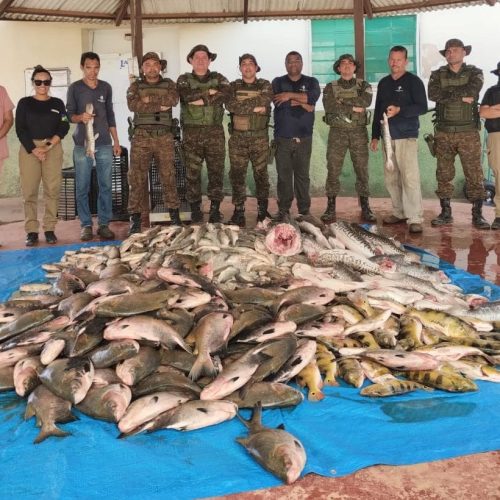 Operação conjunta entre BPA e SEDAM apreende mais de 2,2 toneladas de pescado com irregularidades em Rondônia
