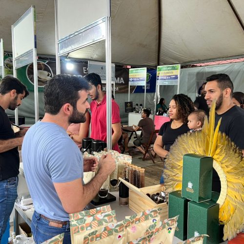 Café produzido em Nova Califórnia destaca a cafeicultura local