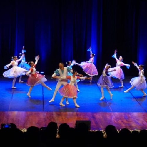 Ações culturais promovidas pelo governo de RO fortalecem identidade e valorizam artistas locais em 2025