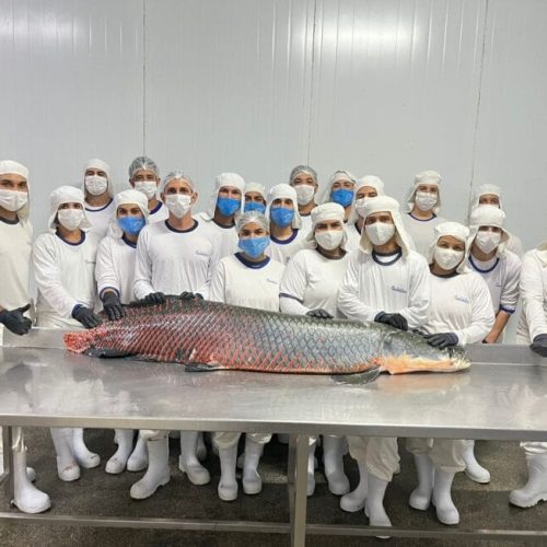 Integração amplia área de comércio à indústria de peixes do Vale do Paraíso