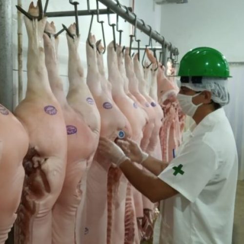 Empresas privadas poderão se credenciar na Idaron para inspeção sanitária em frigoríficos de Rondônia