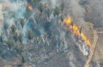 Fenômeno natural El Niño aumenta risco de queimadas durante a estiagem em Porto Velho