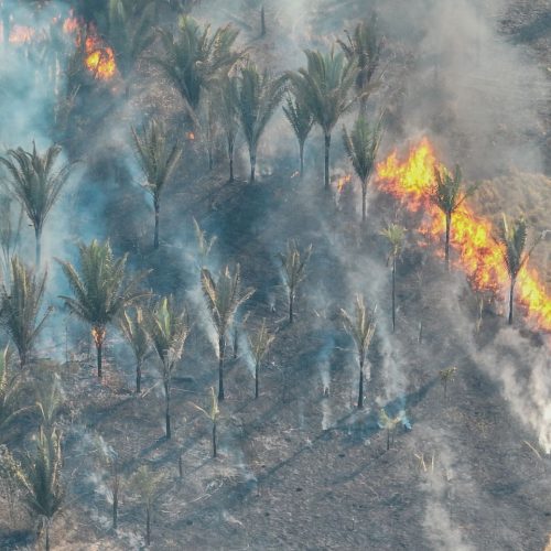 Fenômeno natural El Niño aumenta risco de queimadas durante a estiagem em Porto Velho