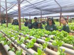 Curso de hidroponia leva conhecimento e novas oportunidades para famílias do assentamento Nova Conquista