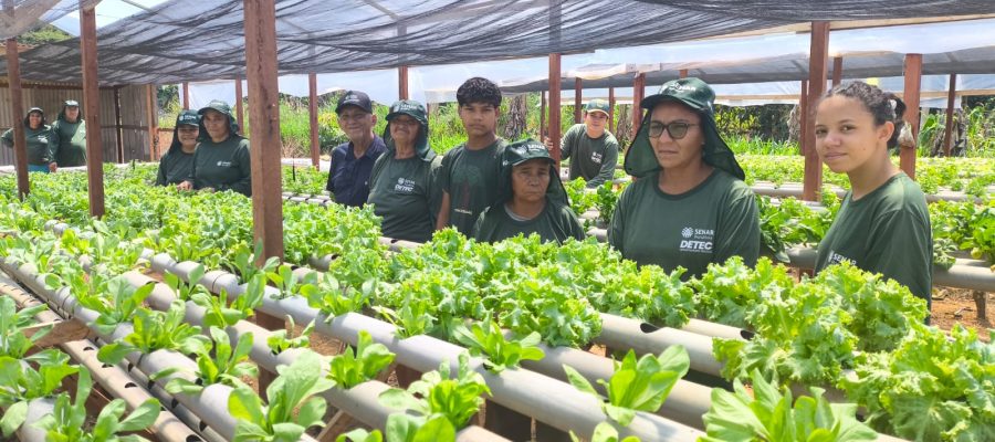 Curso de hidroponia leva conhecimento e novas oportunidades para famílias do assentamento Nova Conquista